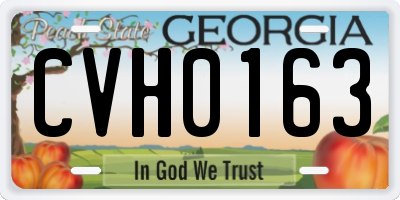 GA license plate CVH0163