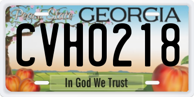 GA license plate CVH0218