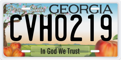 GA license plate CVH0219