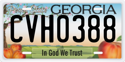 GA license plate CVH0388