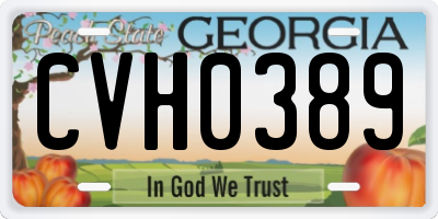 GA license plate CVH0389