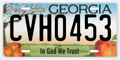 GA license plate CVH0453