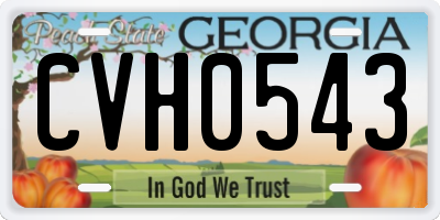 GA license plate CVH0543