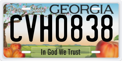 GA license plate CVH0838