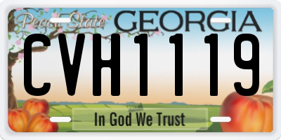 GA license plate CVH1119