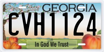 GA license plate CVH1124