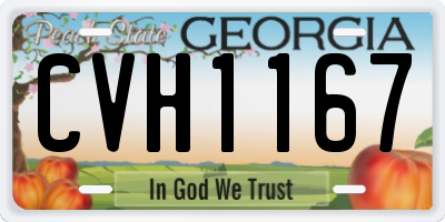 GA license plate CVH1167