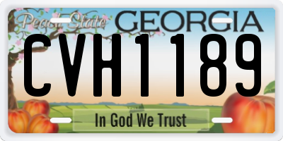 GA license plate CVH1189