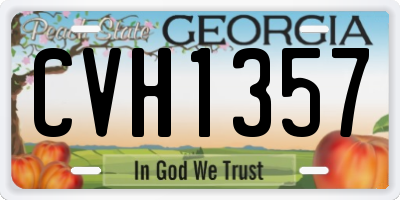 GA license plate CVH1357