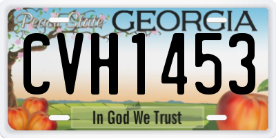 GA license plate CVH1453