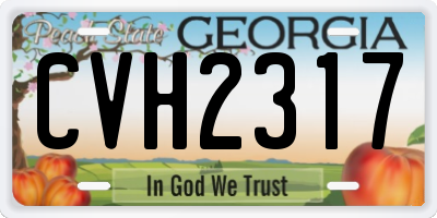 GA license plate CVH2317