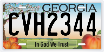 GA license plate CVH2344