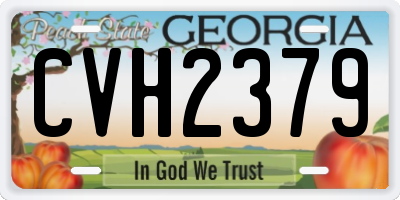 GA license plate CVH2379