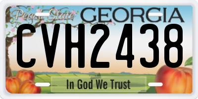 GA license plate CVH2438