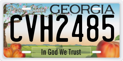 GA license plate CVH2485