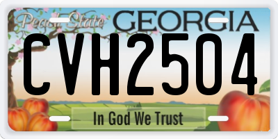 GA license plate CVH2504