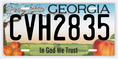 GA license plate CVH2835