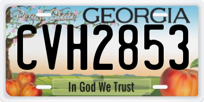 GA license plate CVH2853