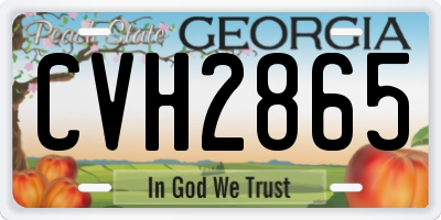 GA license plate CVH2865