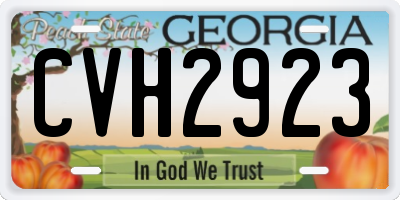 GA license plate CVH2923