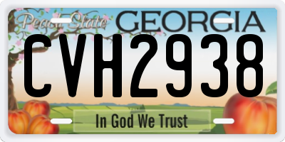 GA license plate CVH2938