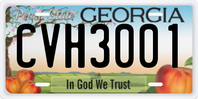 GA license plate CVH3001