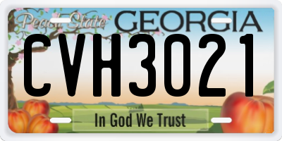 GA license plate CVH3021