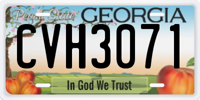 GA license plate CVH3071