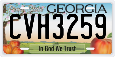 GA license plate CVH3259