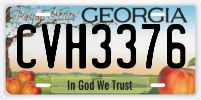 GA license plate CVH3376
