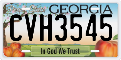 GA license plate CVH3545