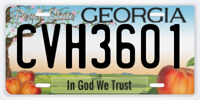 GA license plate CVH3601