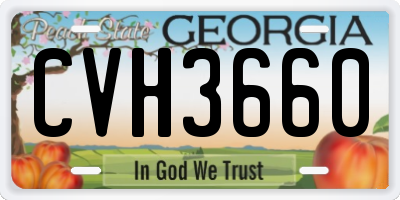 GA license plate CVH3660
