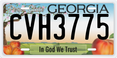 GA license plate CVH3775