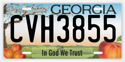 GA license plate CVH3855
