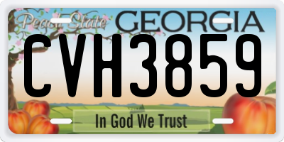 GA license plate CVH3859