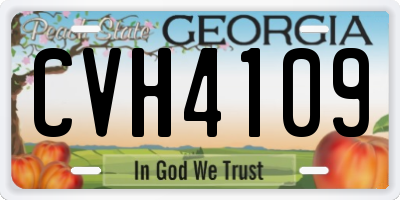 GA license plate CVH4109