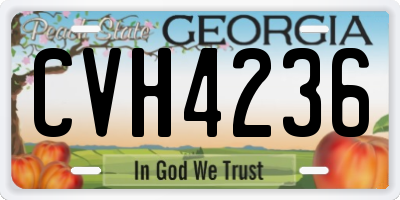 GA license plate CVH4236