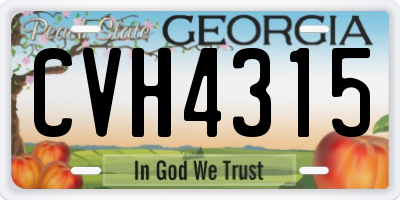GA license plate CVH4315
