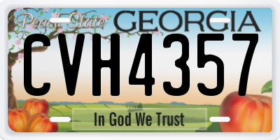 GA license plate CVH4357