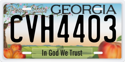 GA license plate CVH4403