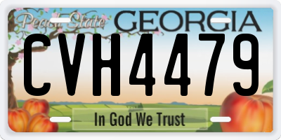 GA license plate CVH4479