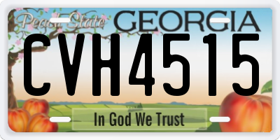 GA license plate CVH4515