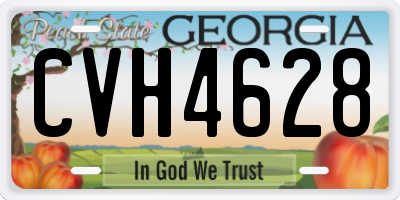 GA license plate CVH4628