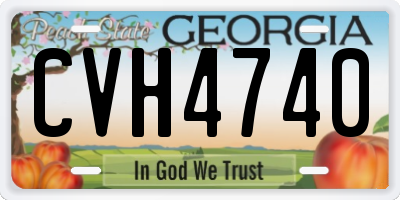GA license plate CVH4740
