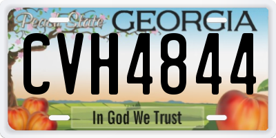 GA license plate CVH4844