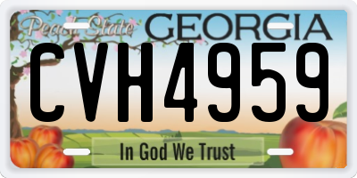 GA license plate CVH4959