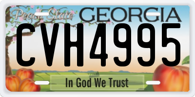 GA license plate CVH4995