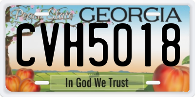 GA license plate CVH5018
