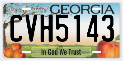 GA license plate CVH5143